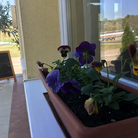Romantik Etterem - Panzio Bed & Breakfast